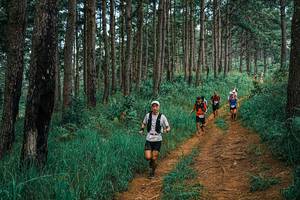 BIB: 
                            <button type="button" onclick="openModal(25671252)" class="btn btn-primary btn-sm float-right btn-popup" data-toggle="modal" data-target=".modal-high-quality">
                        <i class="fas fa-shopping-cart"></i> Add to Cart
                    </button>
                                            <button type="button" onclick="isThisMe(25671252, true)" class="btn btn-success btn-sm float-right btn-popup btn-isme hidden" data-toggle="tooltip" data-placement="bottom" title="นี่คือรูปของคุณใช่ไหม คลิกที่นี่เพื่อเอาเข้าอัลบั้ม">
                        <i class="fas fa-plus"></i> Add to album
                    </button>
                    <button type="button" onclick="isThisMe(25671252, false)" class="btn btn-warning btn-sm float-right btn-popup btn-isnotme hidden">
                        <i class="fas fa-ban"></i> Remove from album
                    </button>